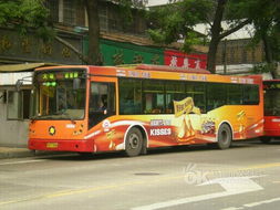 城市交通流动广告大比拼 马鞍山中北与重庆车身广告特色探析